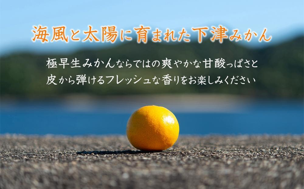 極早生みかん 約7.5kg 大小混合《ご家庭用》 ちょっと訳あり 和歌山県産 農園直送 まごころ産直みかん 【北海道・沖縄県・一部離島 配送不可】 下津の極早生みかん 和歌山の極早生みかん ミカン みかん Mikan 蜜柑 温州みかん わけあり 訳アリ［Mg37］