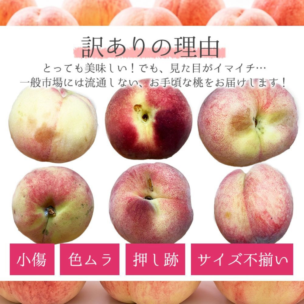 訳あり 森本農園の手選別 桃 4kg