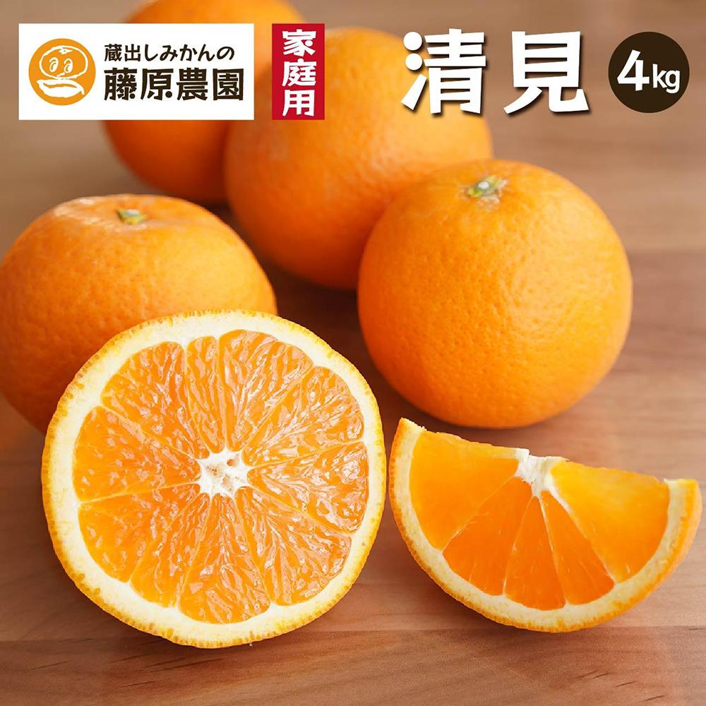 清見オレンジ（みかん）4kg 家庭用 ｜和歌山県海南市下津町で育てた和製オレンジを産地直送でお届け【2026年3月～発送予定】