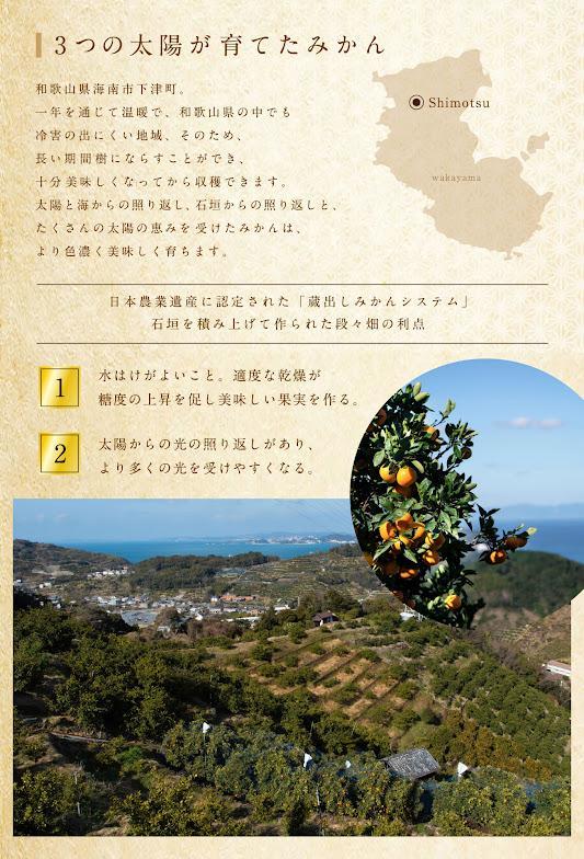 みかん 約5kg SMLサイズ 《赤秀》【下津の蔵出しみかん】和歌山県産 農園直送 まごころ産直みかん 【北海道・沖縄県・一部離島 配送不可】 Sサイズ Mサイズ Lサイズ S M L S M l ミカン 蜜柑 Mikan 温州みかん 温州ミカン わけあり 訳アリ 下津みかん しもつみかん 蔵出し 贈答 ギフト