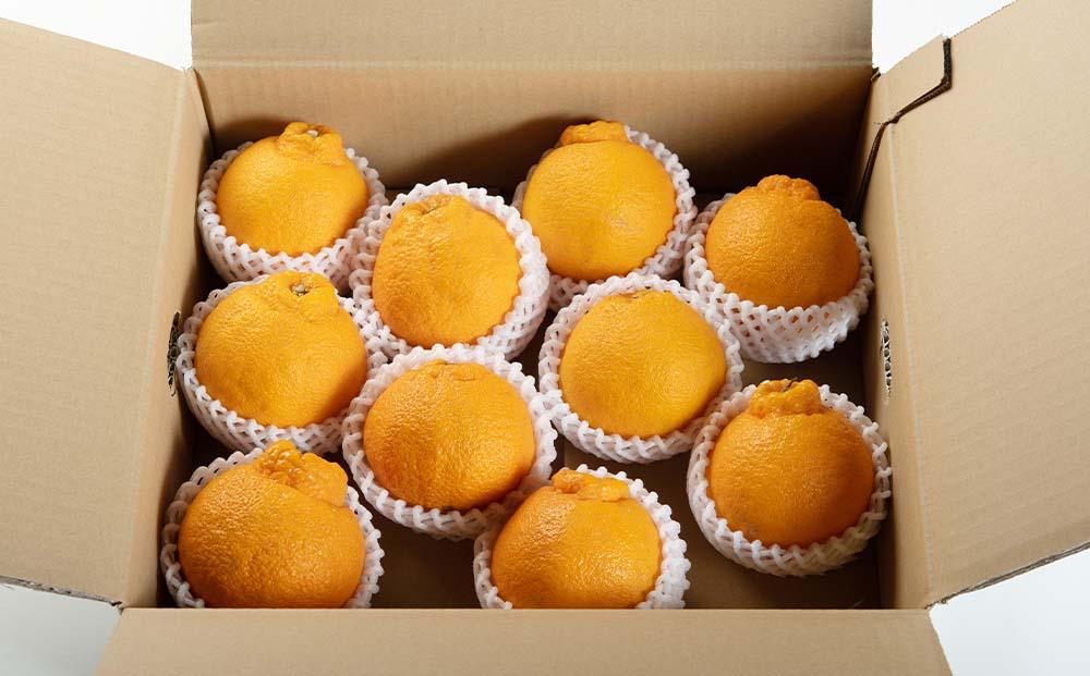 äžç¥ç« çŽ3kg 倧ç9ïœ11çå
¥ã ãèµ€ç§ã åæå±±çç£ èŸ²åçŽé ãŸãããç£çŽã¿ãã ãåæµ·éã»æ²çžçã»äžéšé¢å³¶ é
éäžå¯ã ã¿ãã æç© ææ© ããã¬ã ãã³ãã³ãšåãåçš® ã§ããœã Mg52