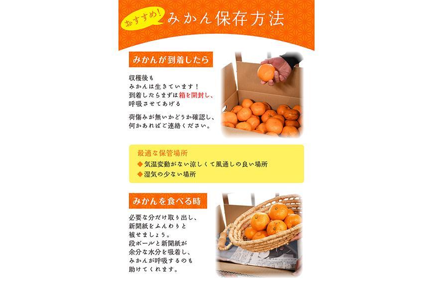 みかん 小玉みかん ３kg  S・SSサイズ 鈴木農園【11～1月発送】Sサイズ 2Sサイズ ２S SS 小さい こつぶ 小玉 小粒 小粒みかん 小玉サイズ 小粒サイズ 早生みかん ミカン 蜜柑 mikan 和歌山みかん 下津みかん しもつみかん 温州みかん 柑橘 フルーツ 果物
