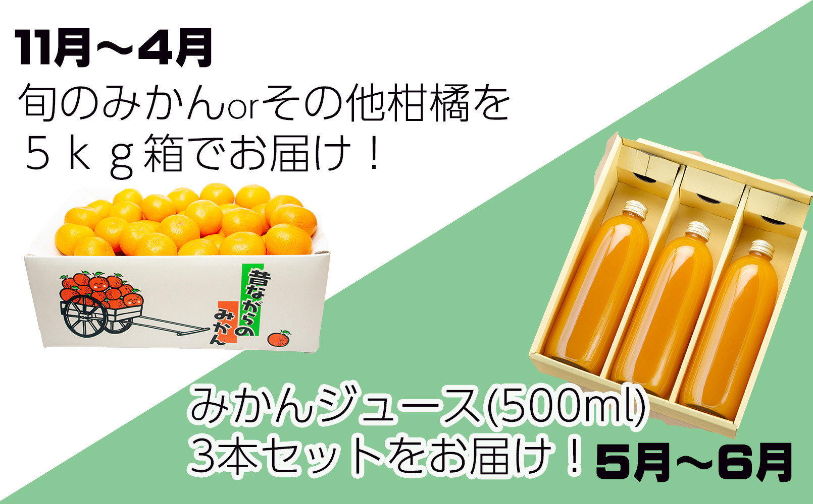 ［定期便 全8回］和歌山県鈴木農園産 旬のフルーツ定期便