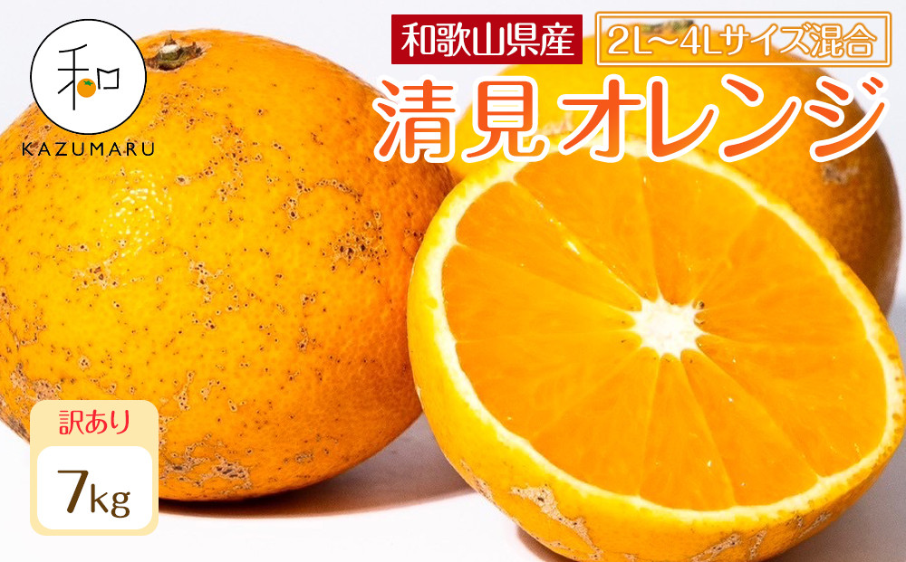 訳あり 森本農園の手選別 大玉清見オレンジ 約7kg 和歌山県産 2L~4Lサイズ混合 ［北海道・沖縄・離島配送不可］［2026年2月上旬から5月中旬頃順次発送予定］［RN103］