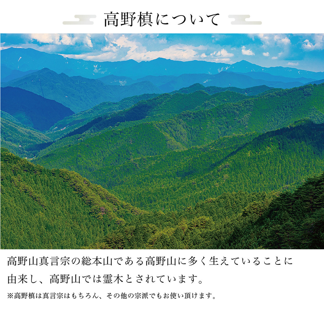 ［秋］仏花墓用デラックス 2束セット SNG102269114