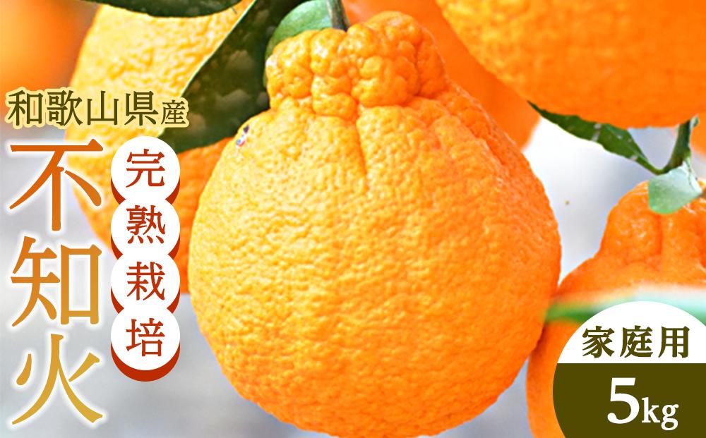［先行予約］不知火（完熟栽培）15玉～28玉 約5kg 家庭用【和歌山 海南市 農園直送】