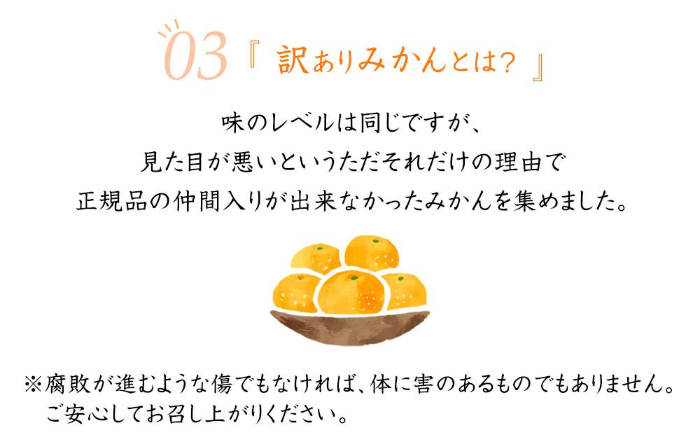 極早生みかん 約7.5kg 大小混合《ご家庭用》 ちょっと訳あり 和歌山県産 農園直送 まごころ産直みかん 【北海道・沖縄県・一部離島 配送不可】 下津の極早生みかん 和歌山の極早生みかん ミカン みかん Mikan 蜜柑 温州みかん わけあり 訳アリ［Mg37］