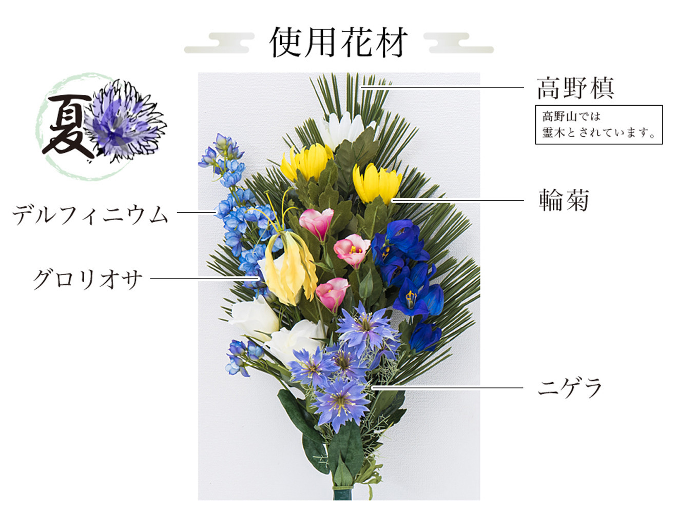 å€ïŒœä»è±å¢çšãã©ãã¯ã¹ 2æã»ãã SNG102269113