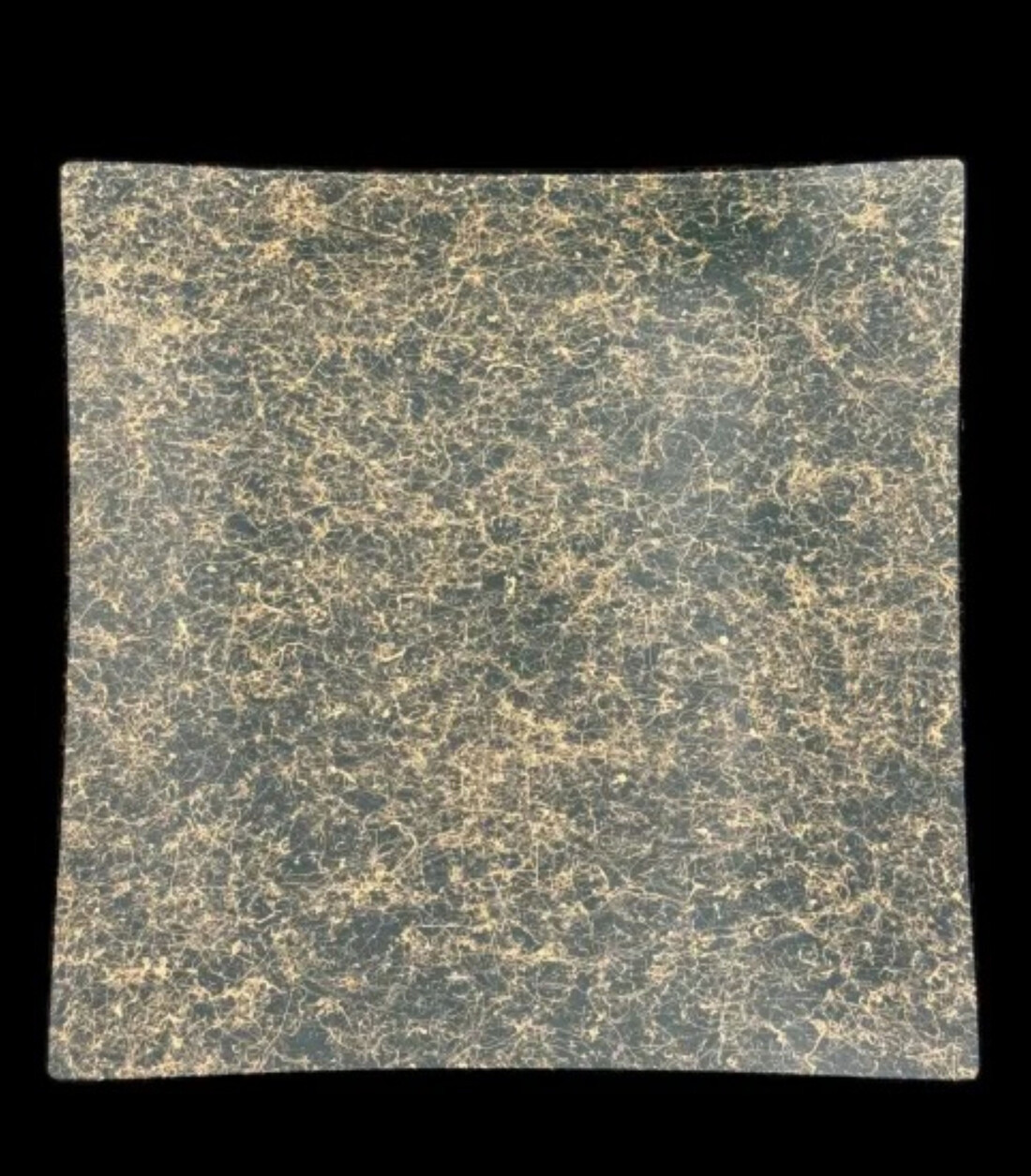 波スクエアプレート L 乱糸(マット仕上げ)草色［NF80］