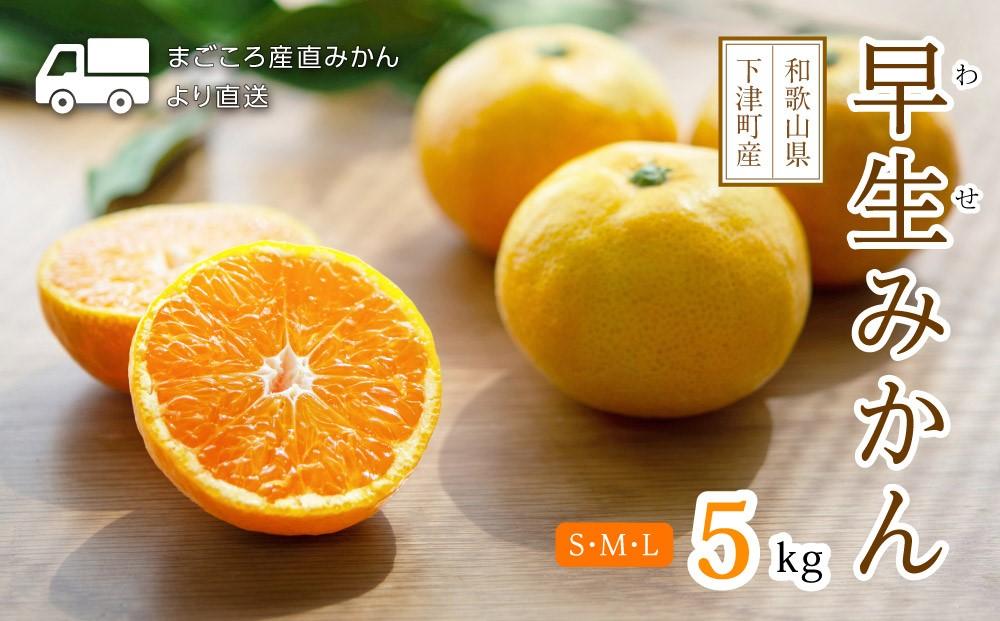 早生みかん 約5kg S・M・Lサイズおまかせ 《赤秀》 和歌山県産 農園直送 まごころ産直みかん 【11月中旬頃発送開始】【北海道・沖縄県・一部離島 配送不可】 果物 柑橘 贈答 Sサイズ Mサイズ