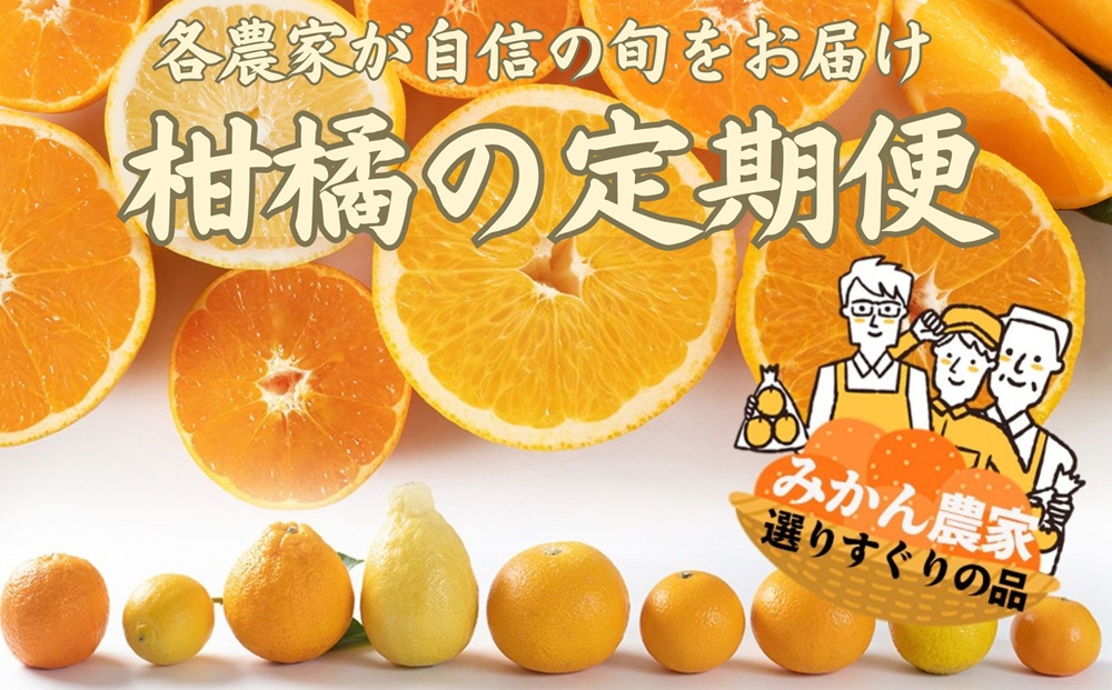【定期便 全10回】厳選・柑橘の定期便 和歌山県 農園直送 まごころ産直みかん 【北海道・沖縄県・一部離島 配送不可】旬 みかん 早生 由良 完熟 蔵出し 津之輝 清見オレンジ 不知火