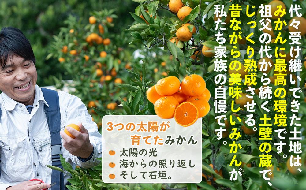 蔵出しみかん5kg大小混合サイズ 訳あり【下津の蔵出しみかん】1月から2月発送で昔ながらのみかん鈴木農園より産地直送｜家庭用 訳ありみかん ｜1月以降が旬の酸味もおいしい蔵出しみかん ※北海道・沖縄・離島への配送不可