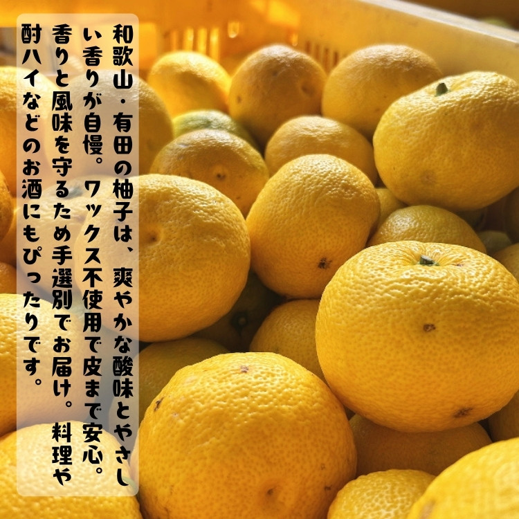 ［先行予約］［国産］紀州和歌山のご家庭用訳あり 柚子（ゆず）2kg ［MS138］