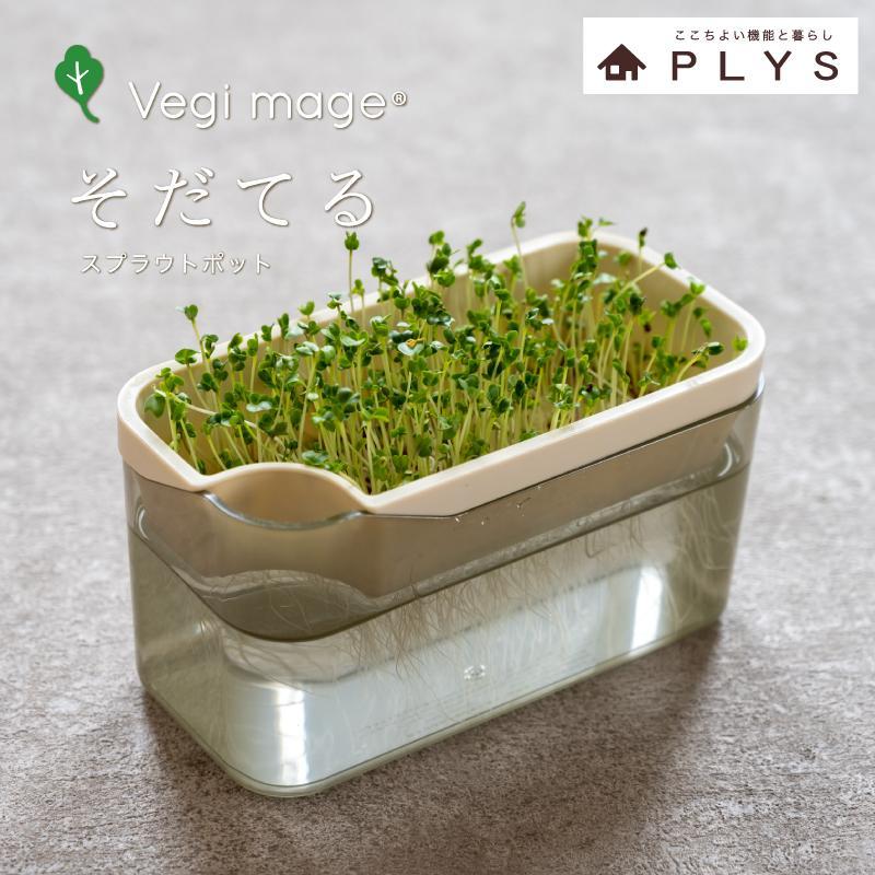 【アイボリー】ベジマジそだてる スプラウト栽培容器 種付き 水耕栽培 おしゃれ 家庭菜園