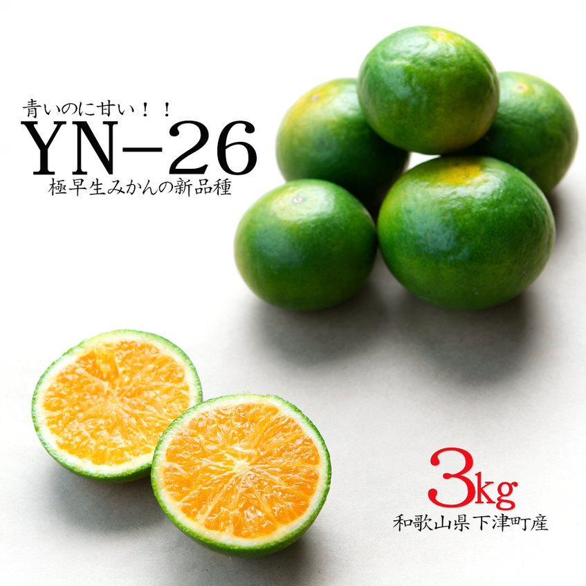 極早生みかん 約3kg 2S・S・Mサイズ 赤秀 和歌山県産 農園直送 まごころ産直みかん 【9月より順次発送】【北海道・沖縄県・一部離島 配送不可】YN26 ゆら早生 和歌山 ミカン 蜜柑 果物 フルーツ 贈答用 少量サイズ 厳選［Mg33］