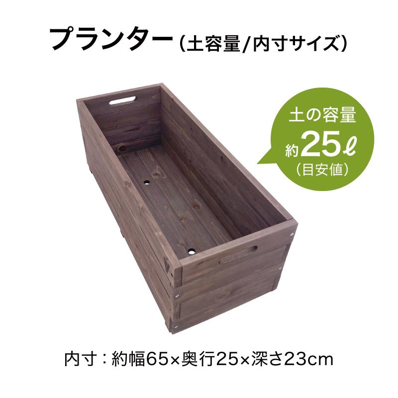 58391100 繝吶ず繝繝ゥ繧ケ繝励Λ繝ウ繧ソ繝シ 繝悶Λ繧ヲ繝ウ繧ヲ繝繝