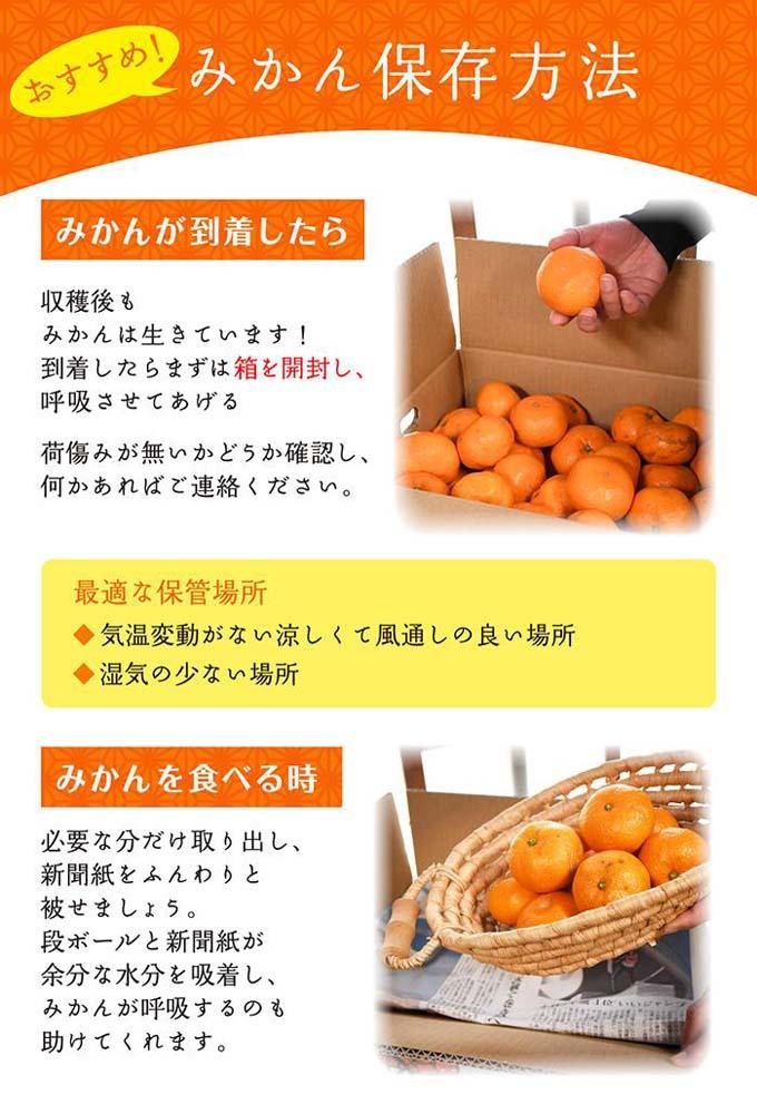 温州みかん 5kg S・M・Lサイズのいずれか【和歌山のみかん】11月～1月に和歌山県 海南市 鈴木農園より農園直送 温州ミカン 温州 下津みかん しもつみかん ミカン 蜜柑 mikan Sサイズ Mサイズ