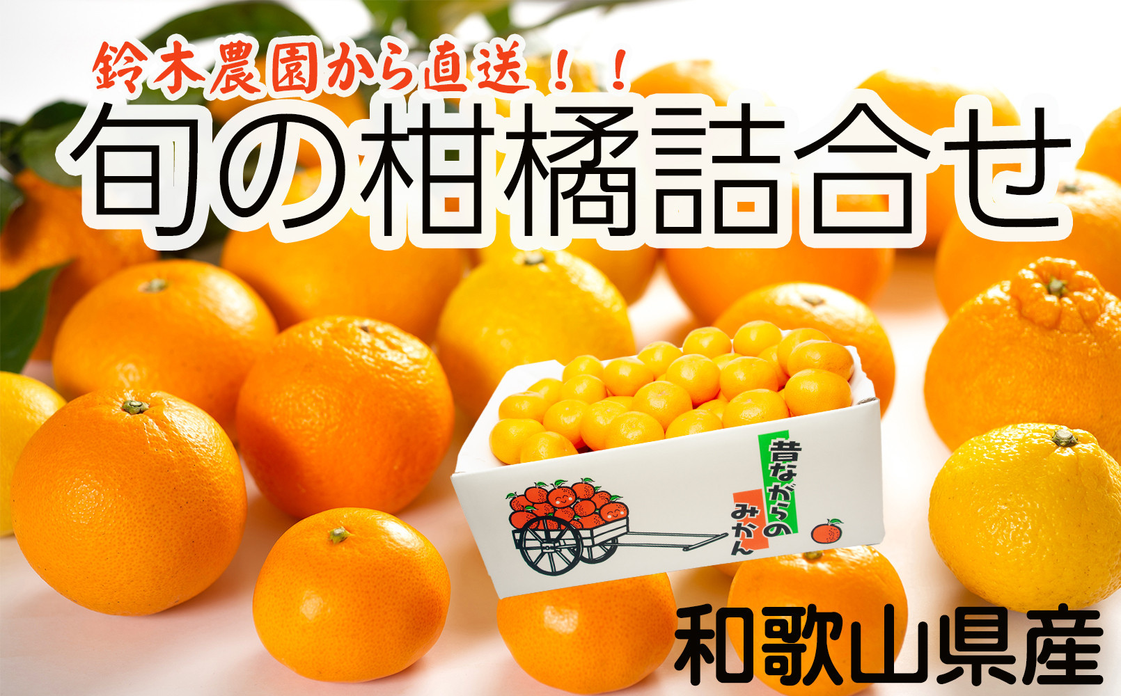 鈴木農園の旬の柑橘詰め合わせ 4.5kg～5kg 箱 2月～4月発送