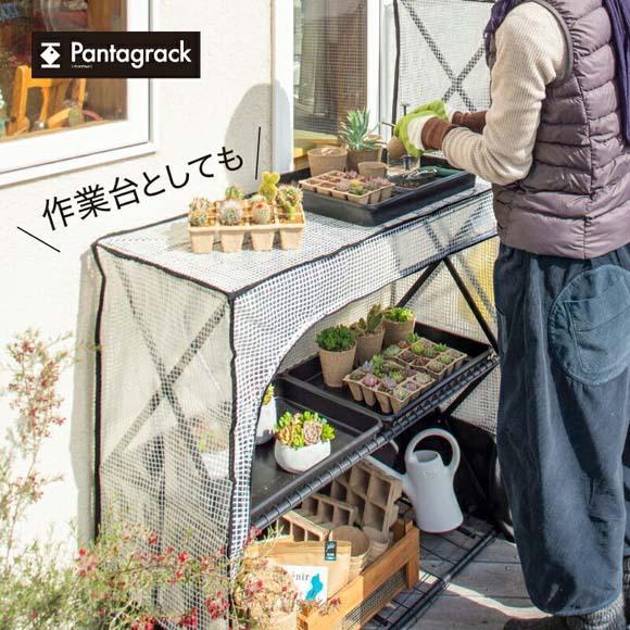 54103400 パンタグラックハウス S