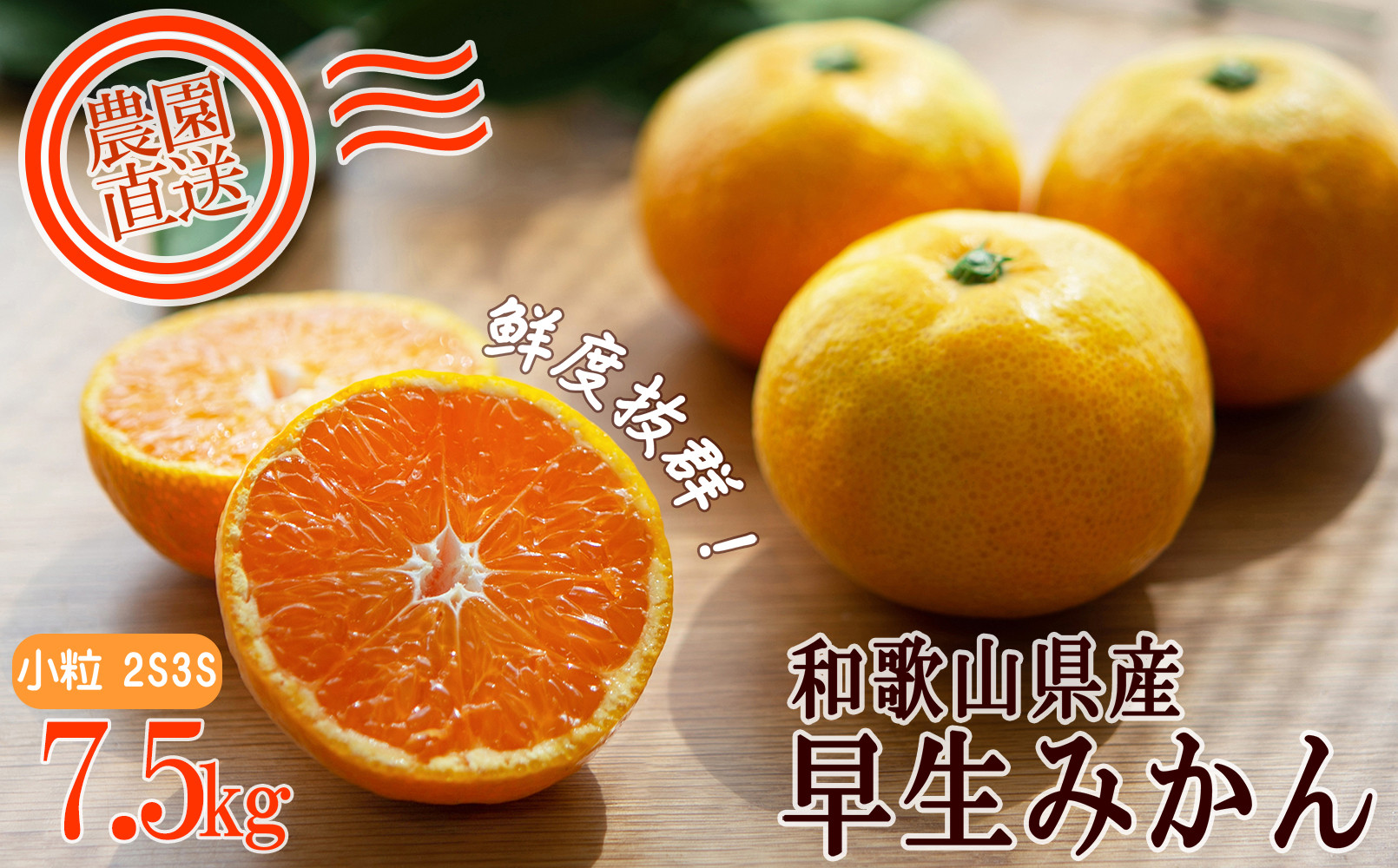 早生みかん 約7.5kg 小粒2S・3S混合 《ご家庭用》 和歌山県産 農園直送 まごころ産直みかん 【北海道・沖縄県・一部離島 配送不可】 ちょっと訳あり 希少 小粒みかん SSサイズ 小玉 わけあり 訳アリ ［Mg48］