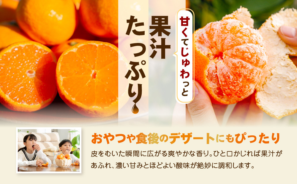 【訳あり】和歌山みかん 約9.5kg+補償分約500g サイズ混合 11月より順次発送 訳ありみかん 【red1】