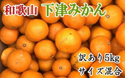 ［訳あり］和歌山下津みかん約5kgご家庭用向け(サイズ混合) ★2026年11月中旬頃より順次発送［TM77］
