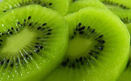 和歌山の下津で採れたキウイフルーツ約3.6kg（玉数おまかせ・秀品）★2027年１月中旬頃より順次発送［TM111］