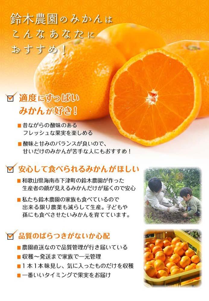 小粒みかんS又はSSサイズ 5kg【小粒の早生みかん】11月中旬～1月中旬頃に鈴木みかん農園より農園直送｜Sサイズ 2Sサイズ ２S SS 小さい こつぶ 小玉 ※北海道・沖縄・離島への配送不可　ミカン　蜜柑　mikan　温州みかん 温州ミカン　わけあり　訳アリ