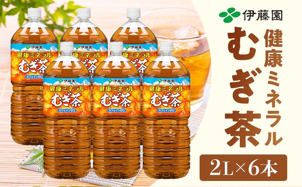 定期便 毎月 全6回 健康ミネラル麦茶 2L×6本 １ケース 6ヶ月定期便