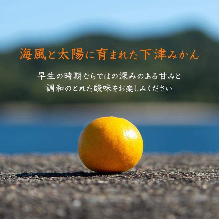 æ©çã¿ãã çŽ7kg 倧ç 2Lã»3Lãµã€ãºããŸãã ããå®¶åºçšã ã¡ãã£ãšèš³ãã åæå±±çç£ èŸ²åçŽé ãŸãããç£çŽã¿ãã ãåæµ·éã»æ²çžçã»äžéšé¢å³¶ é
éäžå¯ã倧ãã èæ æž©å·ã¿ãã ãããã èš³ã¢ãªïŒ»Mg50