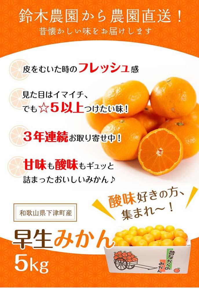 温州みかん 5kg S・M・Lサイズのいずれか【和歌山のみかん】11月～1月に和歌山県 海南市 鈴木農園より農園直送 温州ミカン 温州 下津みかん しもつみかん ミカン 蜜柑 mikan Sサイズ Mサイズ
