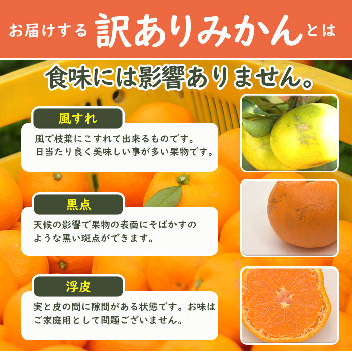 ［みかん定期便］みかん 5kg 4回定期便 家庭用 和歌山県産みかん海南市下津みかん 早生みかん 蔵出しみかん 鈴木農園 ミカン 蜜柑 mikan 温州みかん 和歌山みかん 海南みかん しもつみかん 昔ながらのみかん 訳あり わけあり ワケアリ 訳アリ 訳有り 定期便 柑橘定期便 フルーツ定期便 果物定期便