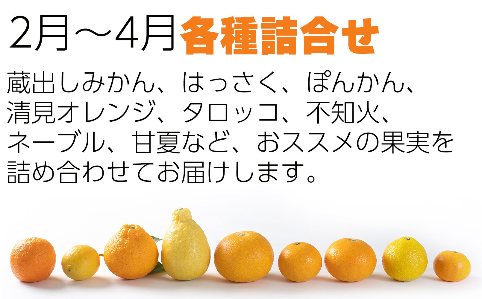 ［定期便 全8回］和歌山県鈴木農園産 旬のフルーツ定期便