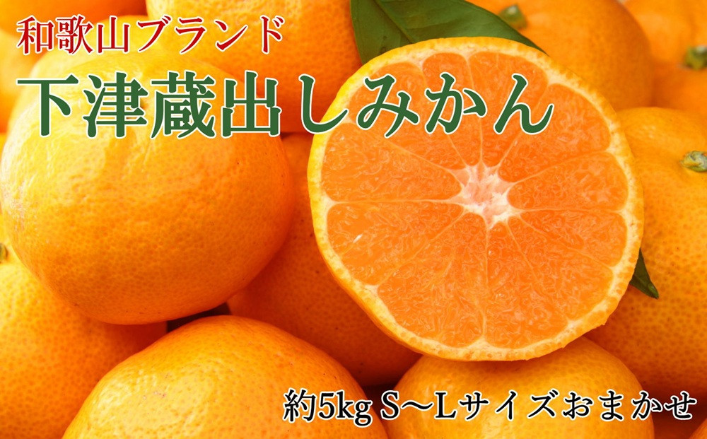 ［産直］下津蔵出しみかん約5kg（S～Lサイズおまかせ）★2027年1月中旬頃より順次出荷