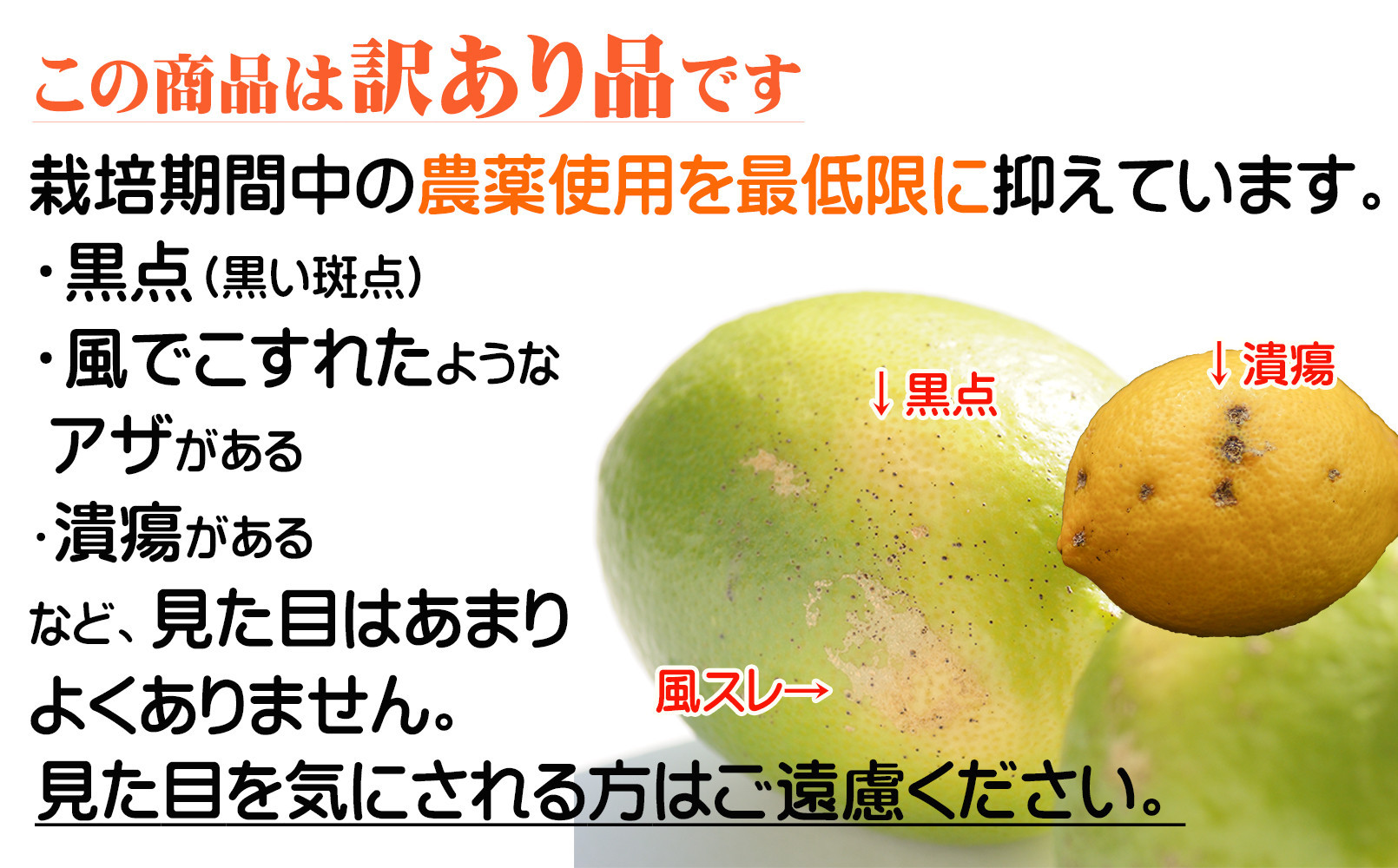 ã¬ã¢ã³ çŽ5kg 倧尿··åãµã€ãº ã¡ãã£ãšèš³ãã 11æïœ2æã«éŽæšã¿ãã蟲åãã蟲åçŽéïŒ éãã¬ã¢ã³ é»è²ãã¬ã¢ã³ â»åæµ·éã»æ²çžã»é¢å³¶ãžã®é
éäžå¯