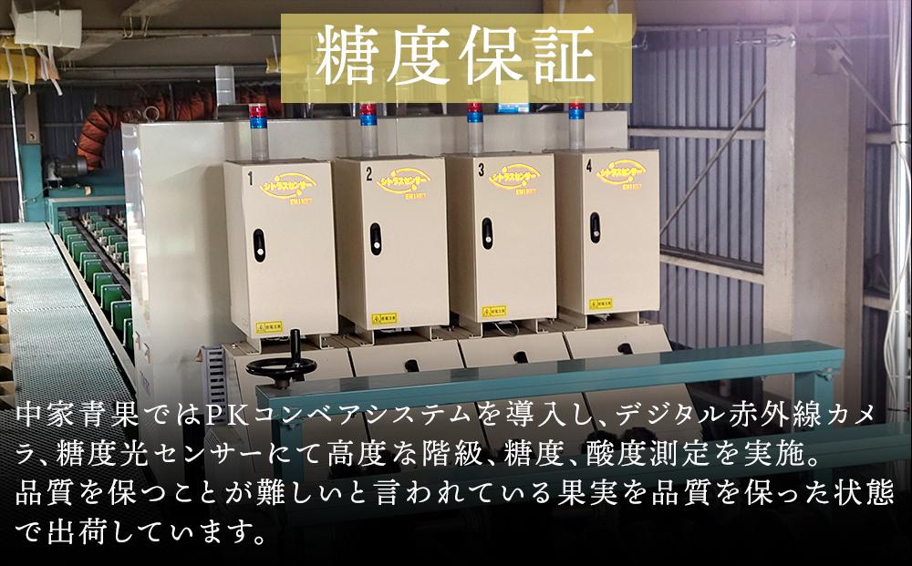 和歌山県産 糖度 12.5度以上 訳あり みかん 3kg 3S ～ Lサイズ混合【NY4】