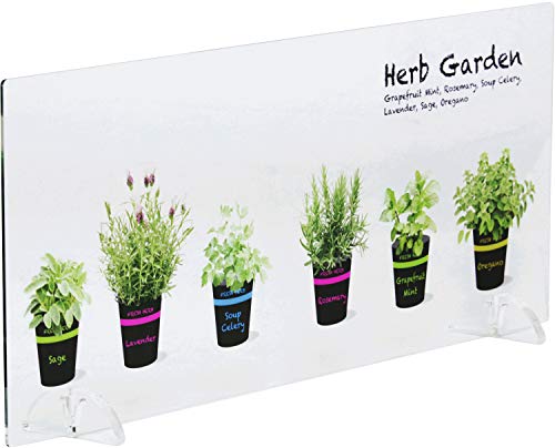 キッチン水はねガード アクリルボード 植木鉢ハーブ 60cm