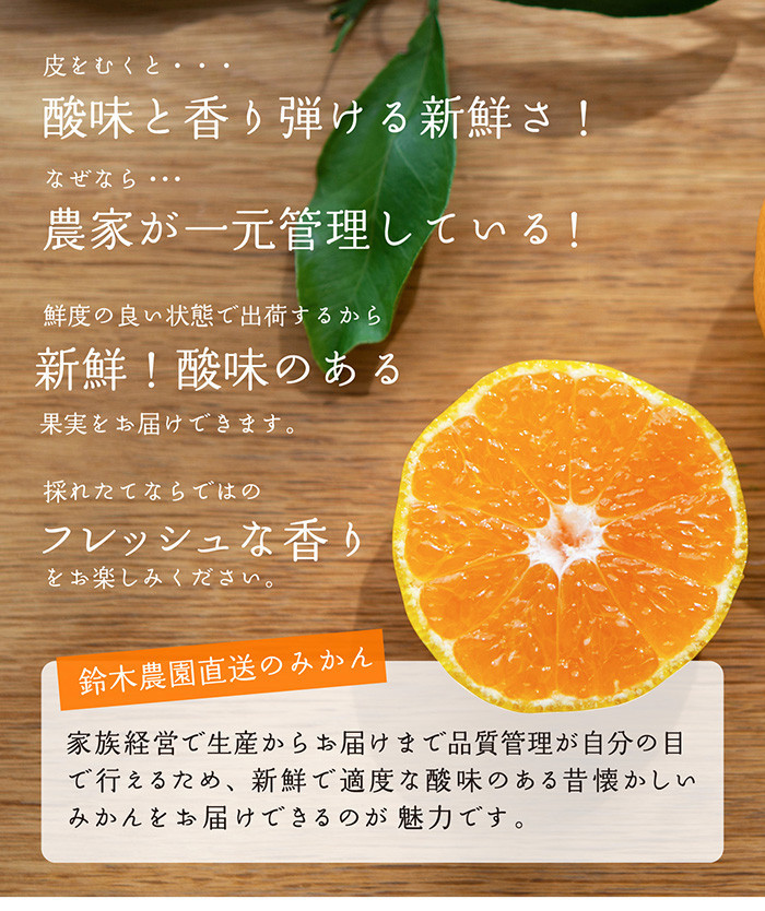 ［みかん定期便］みかん 5kg 4回定期便 家庭用 和歌山県産みかん海南市下津みかん 早生みかん 蔵出しみかん 鈴木農園 ミカン 蜜柑 mikan 温州みかん 和歌山みかん 海南みかん しもつみかん 昔ながらのみかん 訳あり わけあり ワケアリ 訳アリ 訳有り 定期便 柑橘定期便 フルーツ定期便 果物定期便