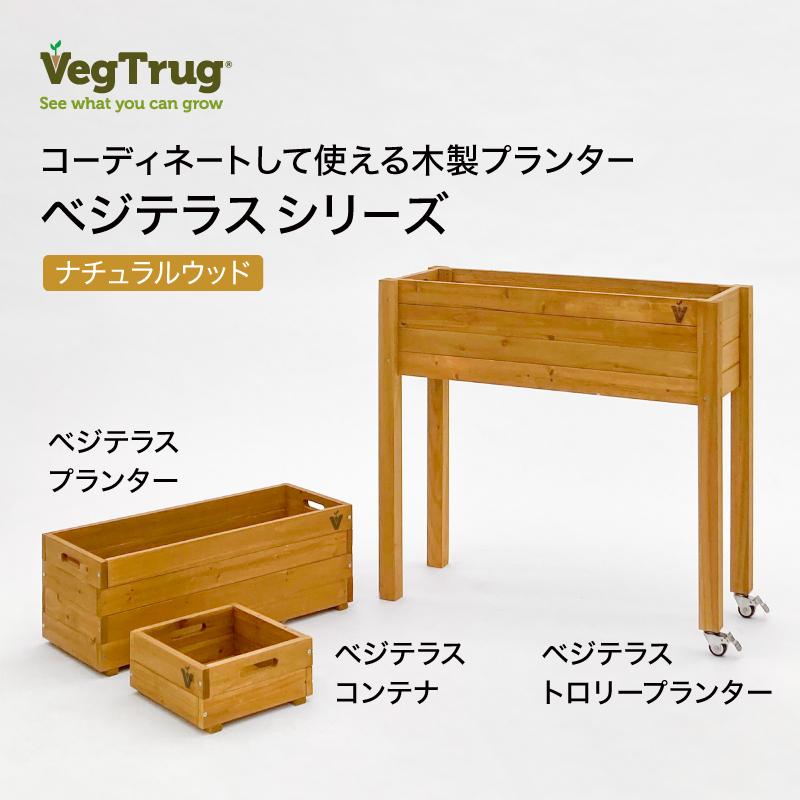 58390400 繝吶ず繝繝ゥ繧ケ繝励Λ繝ウ繧ソ繝シ 繝翫メ繝・繝ゥ繝ォ繧ヲ繝繝