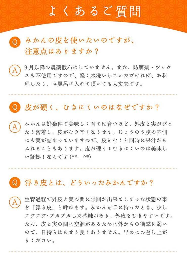 小粒みかんS又はSSサイズ 5kg【小粒の早生みかん】11月中旬～1月中旬頃に鈴木みかん農園より農園直送｜Sサイズ 2Sサイズ ２S SS 小さい こつぶ 小玉 ※北海道・沖縄・離島への配送不可　ミカン　蜜柑　mikan　温州みかん 温州ミカン　わけあり　訳アリ