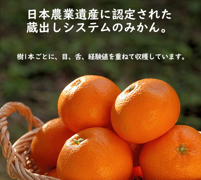 ［みかん定期便］みかん 5kg 4回定期便 家庭用 和歌山県産みかん海南市下津みかん 早生みかん 蔵出しみかん 鈴木農園 ミカン 蜜柑 mikan 温州みかん 和歌山みかん 海南みかん しもつみかん 昔ながらのみかん 訳あり わけあり ワケアリ 訳アリ 訳有り 定期便 柑橘定期便 フルーツ定期便 果物定期便