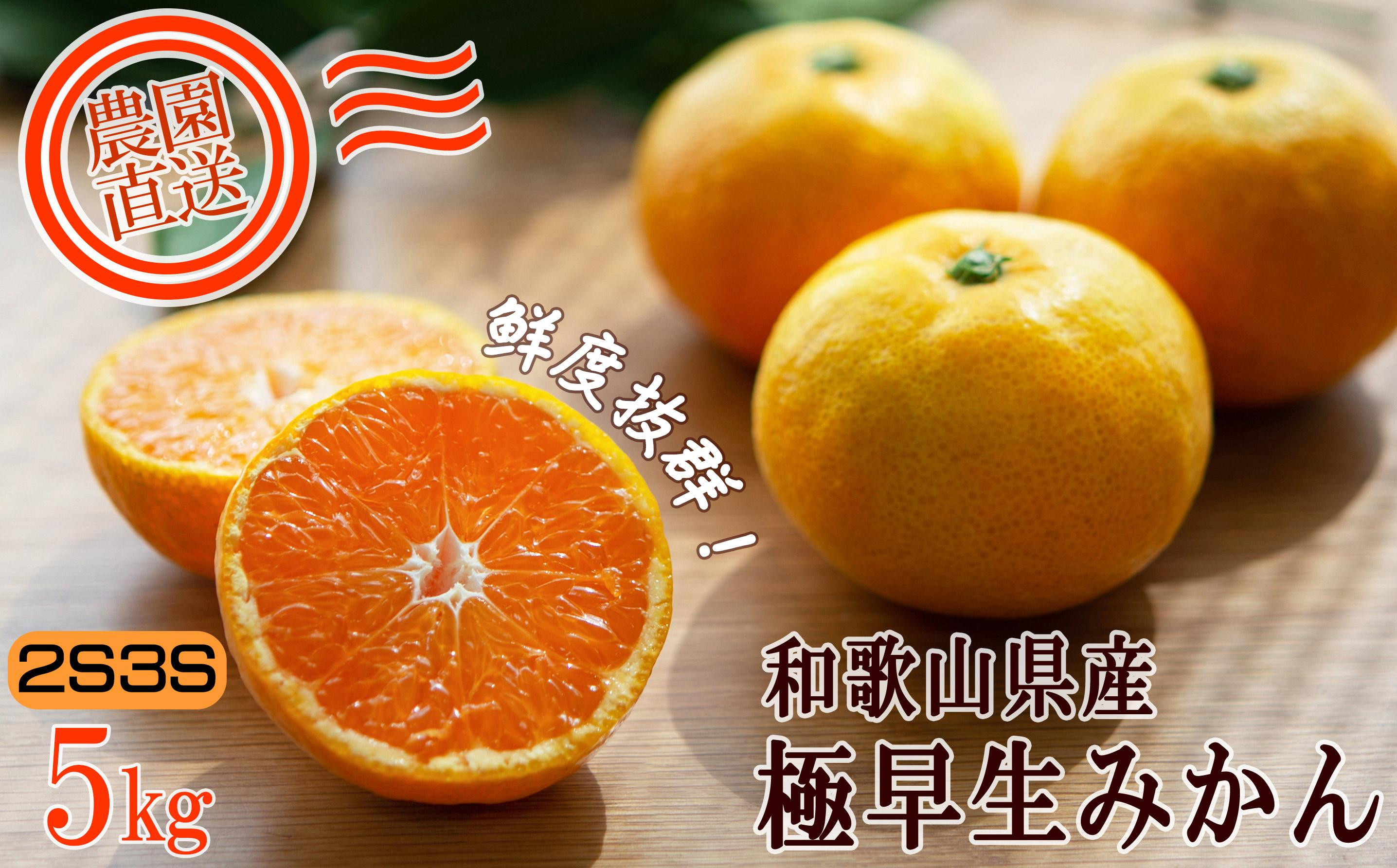 小玉みかん 約5kg 2S3Sサイズ 訳あり 和歌山県産 農園直送 まごころ産直みかん 【10月～11月頃発送】【北海道・沖縄県・一部離島 配送不可】下津 極早生みかん［Mg38］