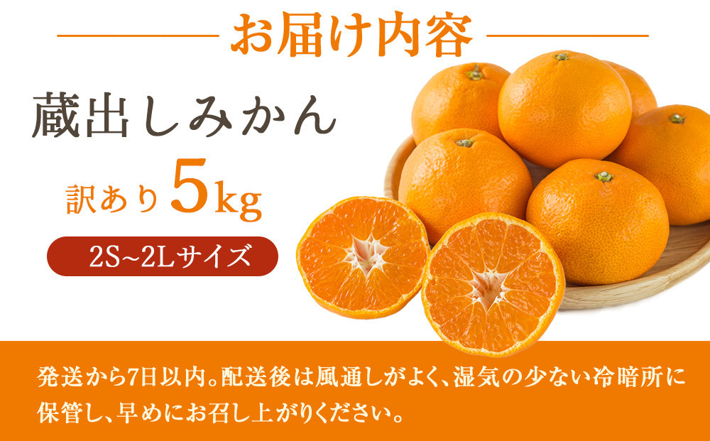 訳あり 蔵出しみかん 約10kg 2S～2Lサイズ混合