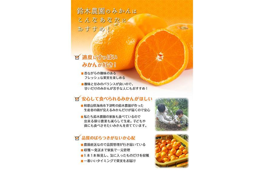 みかん 小玉みかん ３kg  S・SSサイズ 鈴木農園【11～1月発送】Sサイズ 2Sサイズ ２S SS 小さい こつぶ 小玉 小粒 小粒みかん 小玉サイズ 小粒サイズ 早生みかん ミカン 蜜柑 mikan 和歌山みかん 下津みかん しもつみかん 温州みかん 柑橘 フルーツ 果物