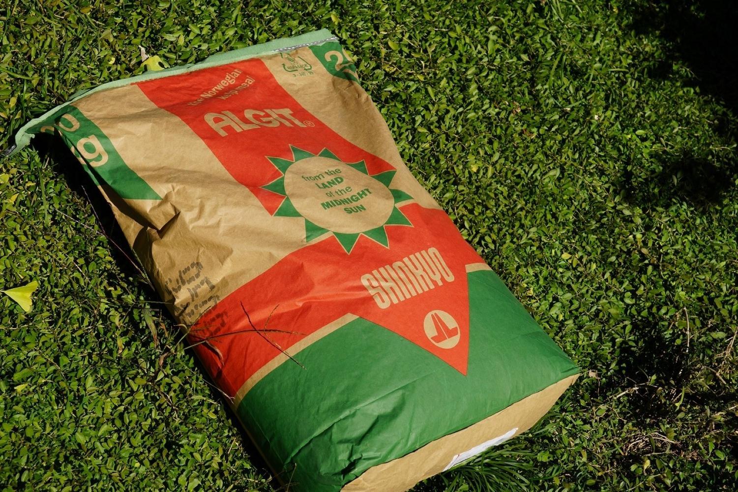 äžæŽ¥èµåºãã¿ãã çŽ3kg SSïœLãµã€ãºãããã å±±äžèŸ²å