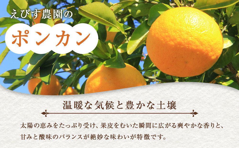 ポンカン 約4.5kg サイズ混合［2027年1月下旬頃より順次発送予定］