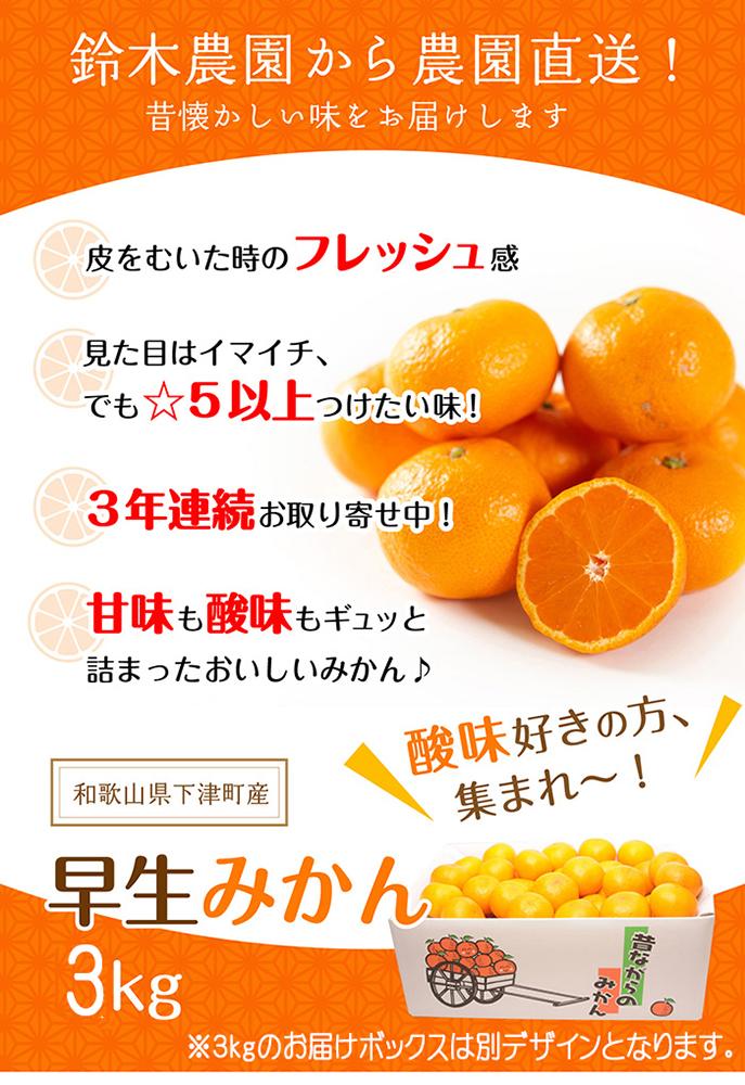 みかん 早生みかん ３kg S/M/Lサイズ 農園直送 和歌山県 海南市 鈴木農園【11～1月発送】みかん ミカン 蜜柑 mikan 和歌山みかん 下津みかん しもつみかん 温州みかん 柑橘 フルーツ 果物