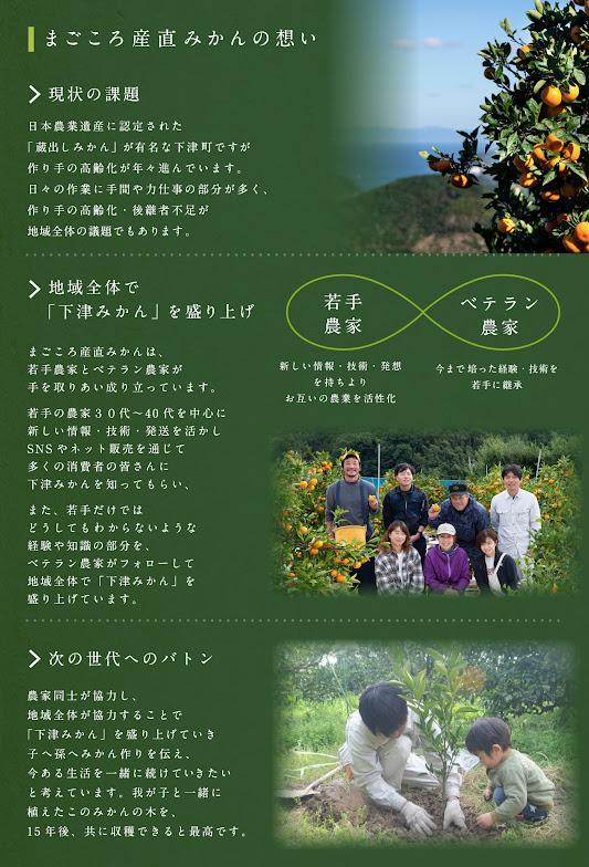 みかん 約5kg SMLサイズ 《赤秀》【下津の蔵出しみかん】和歌山県産 農園直送 まごころ産直みかん 【北海道・沖縄県・一部離島 配送不可】 Sサイズ Mサイズ Lサイズ S M L S M l ミカン 蜜柑 Mikan 温州みかん 温州ミカン わけあり 訳アリ 下津みかん しもつみかん 蔵出し 贈答 ギフト