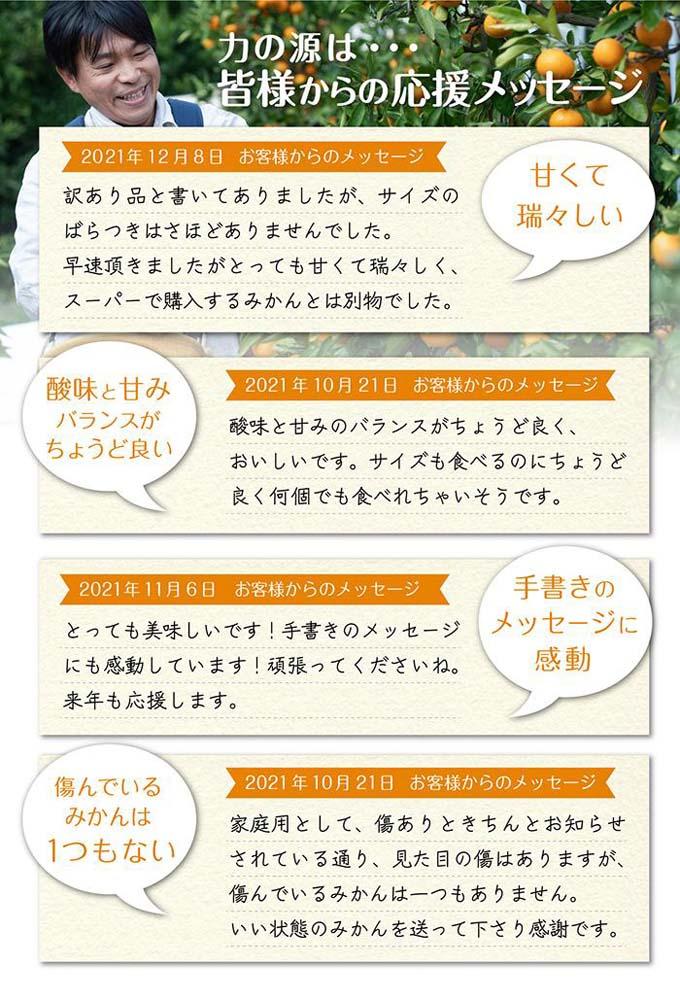 小粒みかんS又はSSサイズ 5kg【小粒の早生みかん】11月中旬～1月中旬頃に鈴木みかん農園より農園直送｜Sサイズ 2Sサイズ ２S SS 小さい こつぶ 小玉 ※北海道・沖縄・離島への配送不可　ミカン　蜜柑　mikan　温州みかん 温州ミカン　わけあり　訳アリ