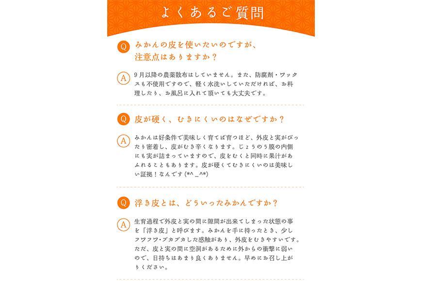 みかん 小玉みかん ３kg  S・SSサイズ 鈴木農園【11～1月発送】Sサイズ 2Sサイズ ２S SS 小さい こつぶ 小玉 小粒 小粒みかん 小玉サイズ 小粒サイズ 早生みかん ミカン 蜜柑 mikan 和歌山みかん 下津みかん しもつみかん 温州みかん 柑橘 フルーツ 果物